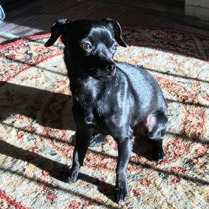 Meet your Posher, Maria